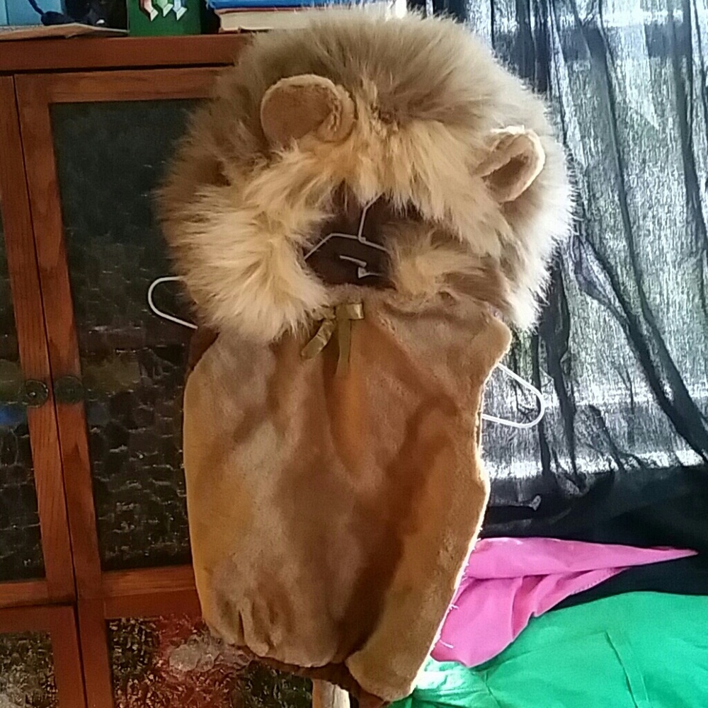 Toddler Lion costume